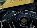 2018 Harley-Davidson Forty-Eight, бежевый, 1500000 рублей - вид 9
