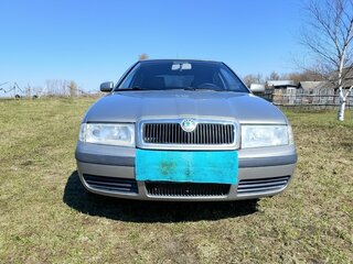 2008 Skoda Octavia I (A4) Рестайлинг, серый, 380000 рублей, вид 1