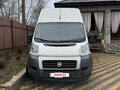 2012 Fiat Professional Ducato, белый, 890000 рублей