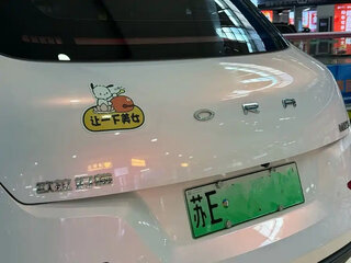 2024 Ora Good Cat 47.8 kWh I, белый, 1800000 рублей, вид 5