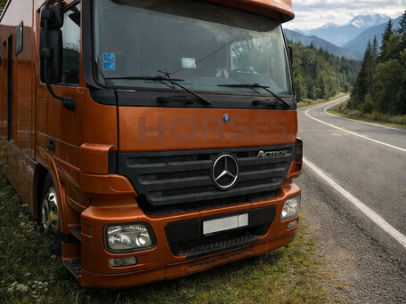 2005 Mercedes-Benz Actros, оранжевый, 18000000 рублей, вид 2