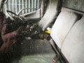 2002 Toyota Dyna, белый, 1000000 рублей - вид 5