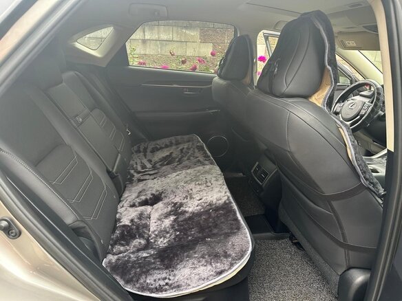 2019 Lexus NX 300h I Рестайлинг, серебристый, 3800000 рублей - вид 20
