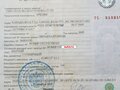 2008 Ski-Doo Expedition, жёлтый, 550000 рублей - вид 2
