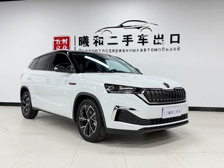 Открыть фотографии: Skoda Kamiq I (China Market)