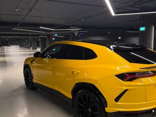 2022 Lamborghini Urus I, жёлтый, 25000000 рублей, вид 4