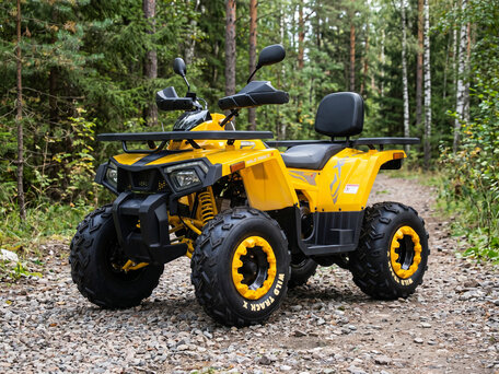 2026 Motoland Wild Track 200, жёлтый, 185200 рублей, вид 1