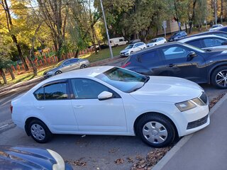 2017 Skoda Octavia III (A7), белый, 650000 рублей, вид 5