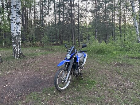 2005 Yamaha XT660R, синий, 475000 рублей, вид 2