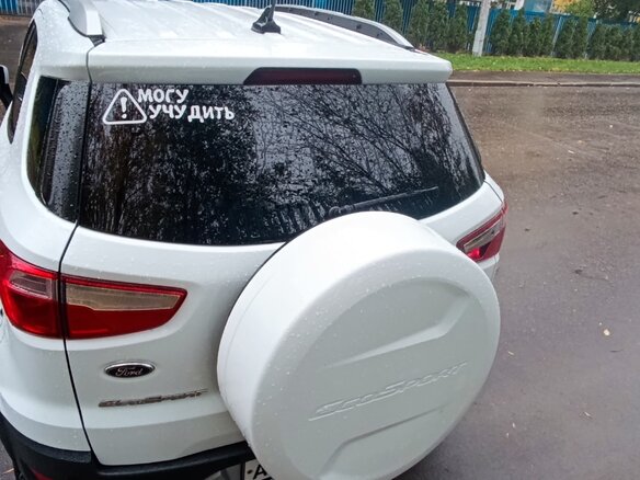 2017 Ford EcoSport II, белый, 850000 рублей - вид 6