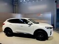 2019 Haval F7 I, белый, 1490000 рублей - вид 4