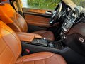 2017 Mercedes-Benz GLS 350 d I (X166), чёрный, 3990000 рублей - вид 6