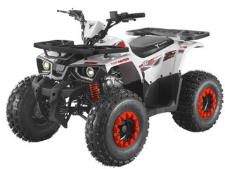 2026 Tao Motor Hunter 125, белый, 92200 рублей, вид 1
