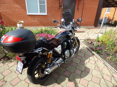2017 Honda CB 1100, чёрный, 970000 рублей, вид 5