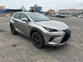 2019 Lexus NX 300h I Рестайлинг, серебристый, 3800000 рублей - вид 2