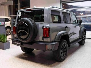 2026 Tank 300 I, серый, 5249000 рублей, вид 5