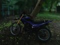 2024 Irbis GR 250, фиолетовый, 85000 рублей - вид 2
