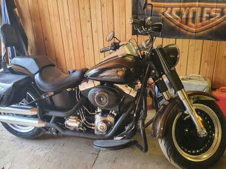 2013 Harley-Davidson Fat Boy, коричневый, 1200000 рублей, вид 2