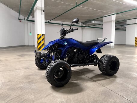 2008 Yamaha YFZ 450, синий, 1300000 рублей, вид 3
