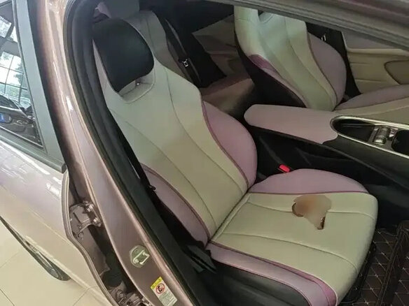 2022 BYD Dolphin 44.9 kWh I, розовый - вид 19