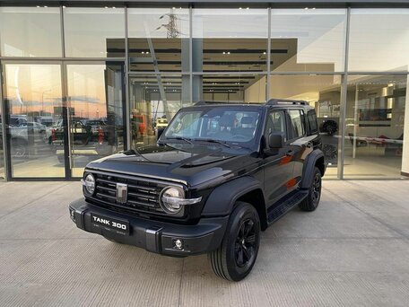Tank 300 I