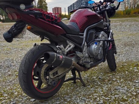 2001 Yamaha FZS1000 Fazer, красный, 295000 рублей, вид 5