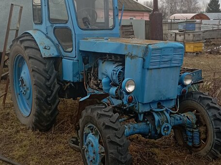 1982 ЛТЗ Т-40АМ, синий, 260000 рублей, вид 3
