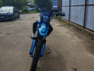 2023 Motoland Enduro 300, голубой, 225000 рублей, вид 3