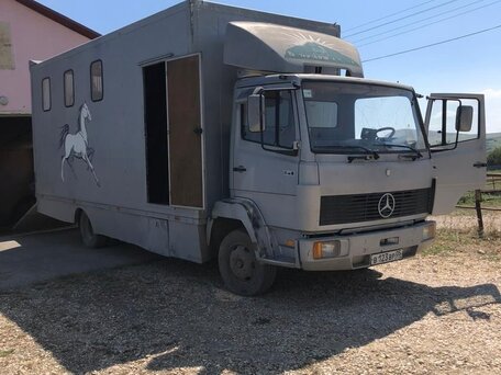 1989 Mercedes-Benz L-Series, серебристый, 1600000 рублей, вид 2