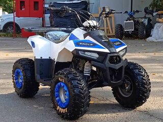 2026 Motoland ATV 110 Eagle, белый, 85400 рублей, вид 1