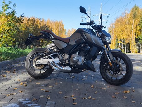 2022 Regulmoto Alien Monster, серый, 385000 рублей, вид 2