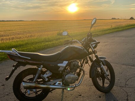 2023 Regulmoto SK200, чёрный, 105000 рублей, вид 4