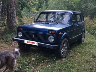 2006 Lada (ВАЗ) 2131 (4x4) I, серебристый, 265000 рублей, вид 2