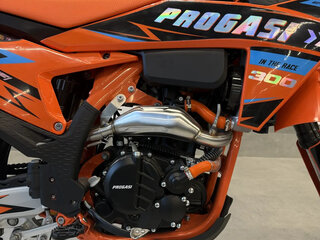 2025 Progasi Endurance 300, оранжевый, 339990 рублей, вид 5