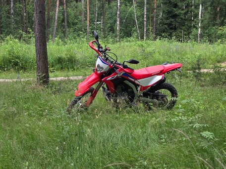 2023 Honda CRF 300L, красный, 700000 рублей, вид 4