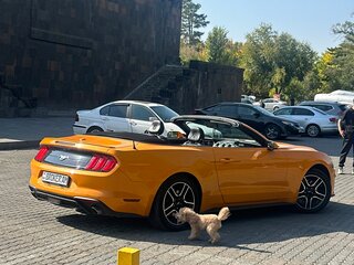 2018 Ford Mustang VI Рестайлинг, оранжевый, 2300000 рублей, вид 1