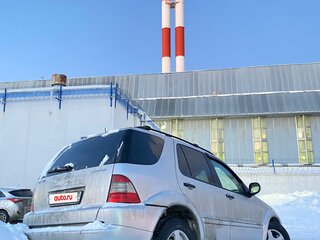 2001 Mercedes-Benz M-Класс AMG 55 AMG I (W163), серый, 990000 рублей, вид 2