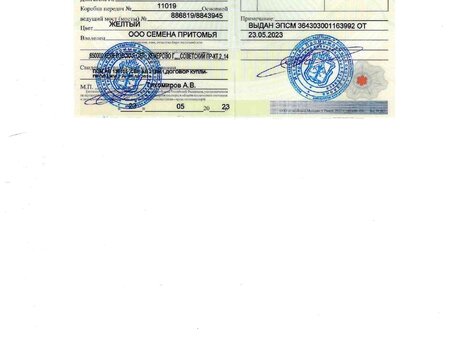 1988 Кировец К-700, жёлтый, 450000 рублей, вид 5