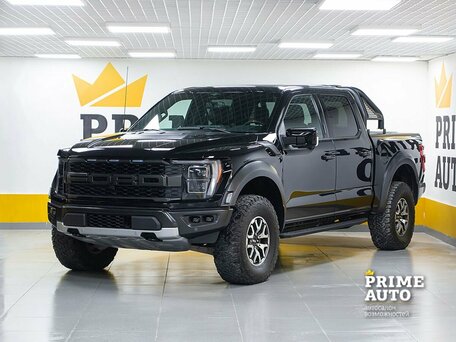 Ford F-150 XIV