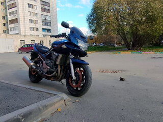 2007 Suzuki Bandit GSF 650, синий, 350000 рублей, вид 1