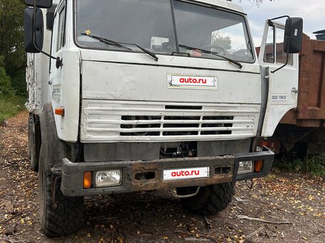 2007 КамАЗ 43118, белый, 1700000 рублей, вид 2