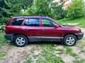 2002 Hyundai Santa Fe I, красный, 600000 рублей - вид 7