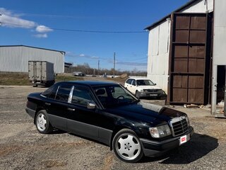 1991 Mercedes-Benz W124 250, чёрный, 1300000 рублей, вид 5