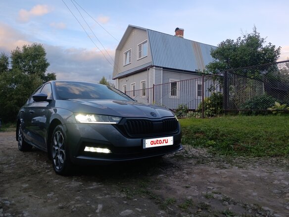 2021 Skoda Octavia IV (A8), серый - вид 3