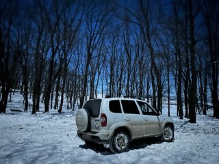 2013 Chevrolet Niva I Рестайлинг, белый, 515000 рублей, вид 3