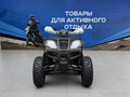2026 Другие Мотовездеходы (другие), чёрный, 137700 рублей - вид 4