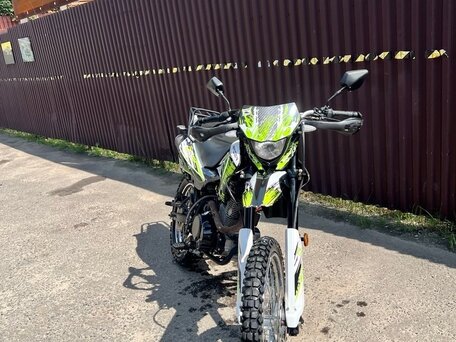 2021 Racer Panther, зелёный, 115555 рублей, вид 2