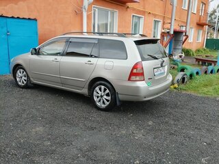 2001 Toyota Corolla Fielder IX (E120, E130), серый, 515000 рублей, вид 4