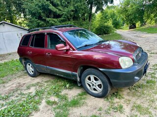 2002 Hyundai Santa Fe I, красный, 600000 рублей, вид 3