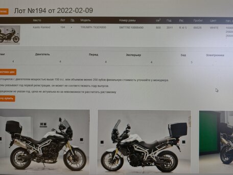 2011 Triumph Tiger 800, белый, 540000 рублей, вид 2